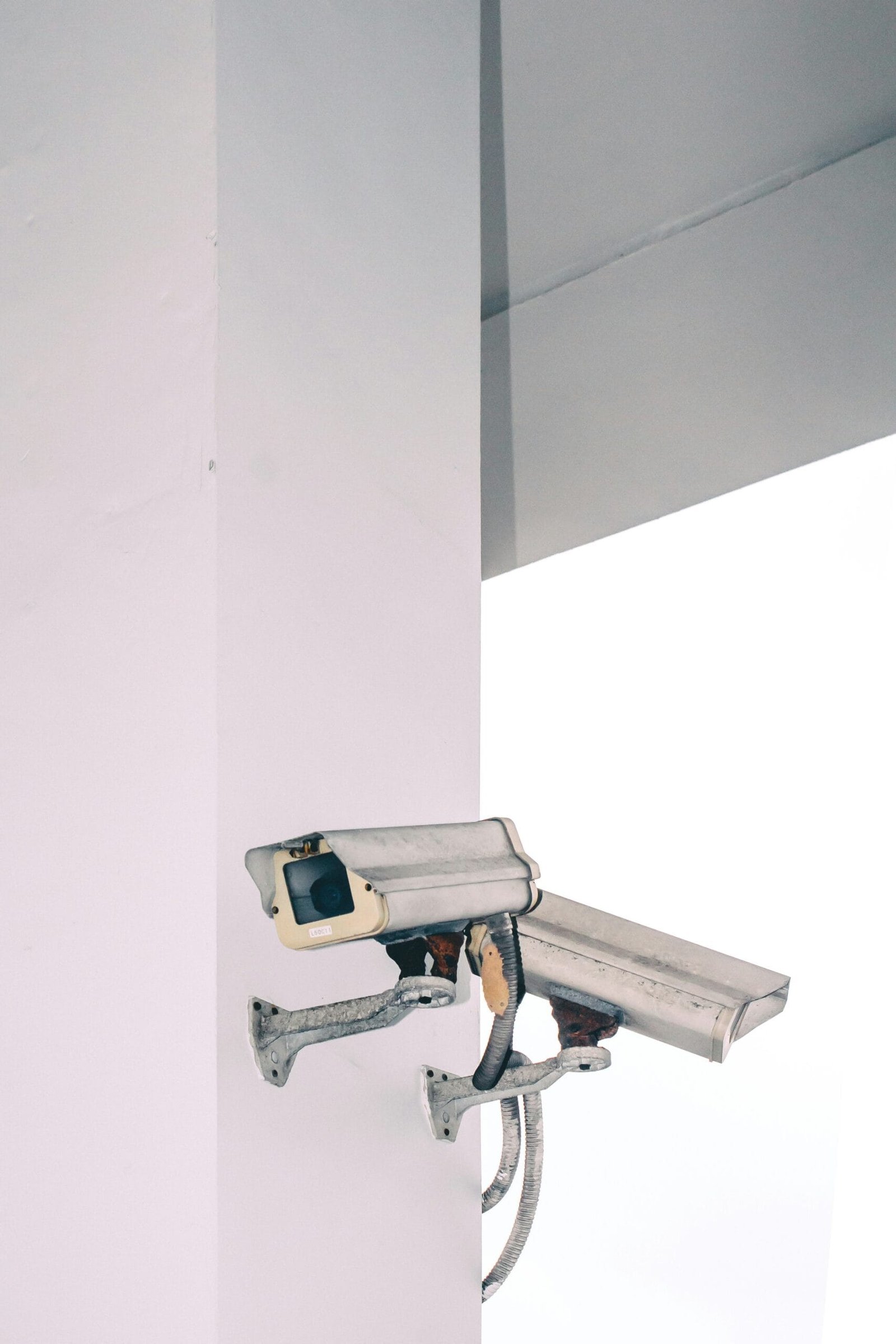 Photo by <a href="https://unsplash.com/@victor_g" rel="nofollow">Victor</a> on <a href="https://unsplash.com/?utm_source=hostinger&utm_medium=referral" rel="nofollow">Unsplash</a> 